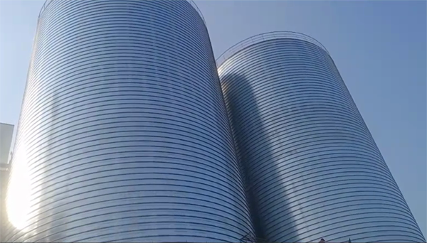 枣阳2座混凝土高架卷板仓